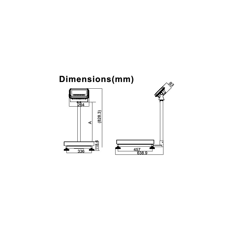 Balance Professionnelle à Colonne Portée 150 Kg - Fourniresto