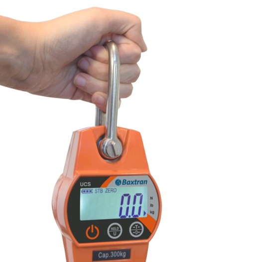 Crochet peseur 150kg Baxtran precision 50g, dynamomètre léger