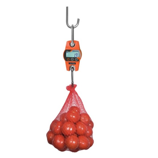 Crochet peseur 150kg Baxtran precision 50g, dynamomètre léger