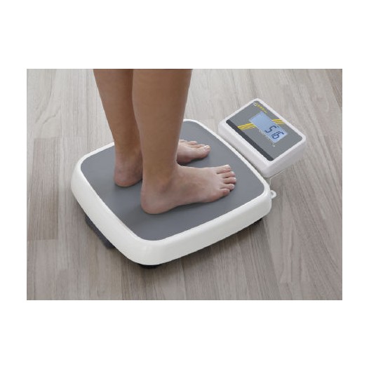 Pèse personne  250 kg/100 g