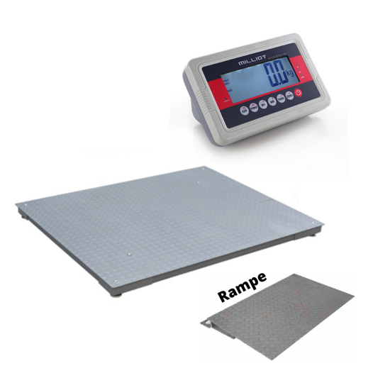 image cover Bascule au sol avec rampe 3000 kg/1 kg -...