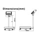 Balance inox modulaire homologuée 60 kg/10 g - 400x400 mm - BWS Balance inox modulaire homologuée 60 kg/10 g - 400x400 mm - BWS