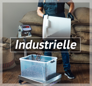 Balance industrielle