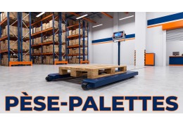 Pèse-palette : guide complet pour bien choisir votre U-peseur professionnel